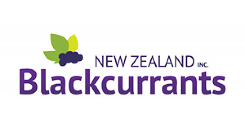 Blackcurrants NZ