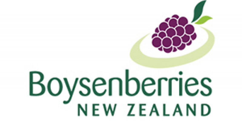 Boysenberries