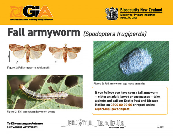Fall Armyworm factsheet.