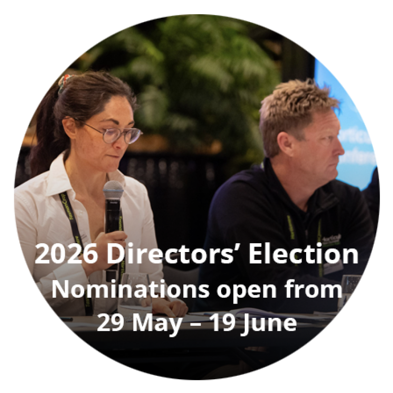 Directors Election 2026 website splotch (1)