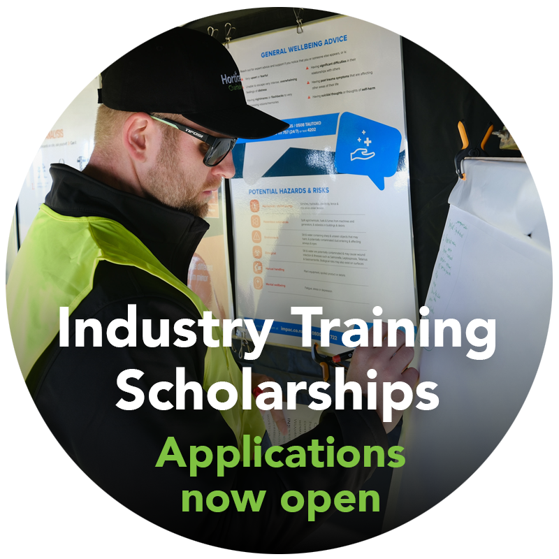 Industry Training Scholarships splotch website (2026)