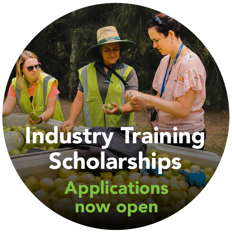 Industry Training Scholarships