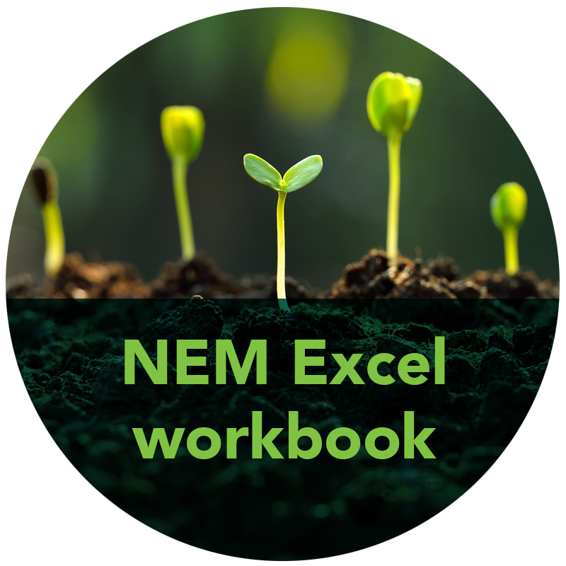 NEM excel workbook