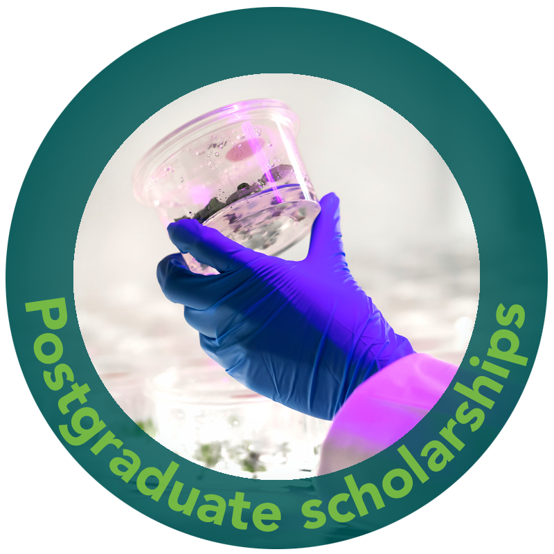 Postgraduate scholarships splotch