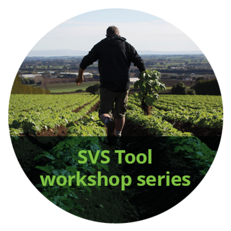 SVS Tool workshop series splotch