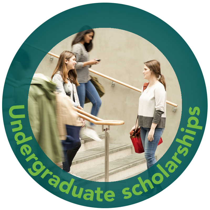 Undergradaute scholarship splotch
