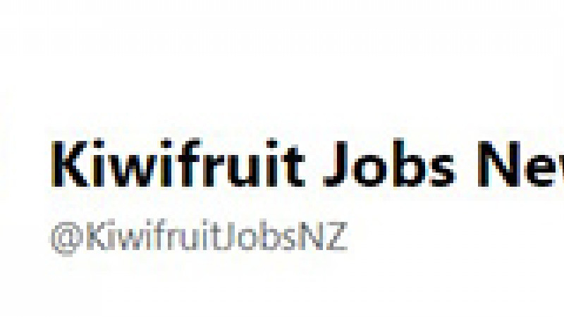 kiwifruit jobs NZ small