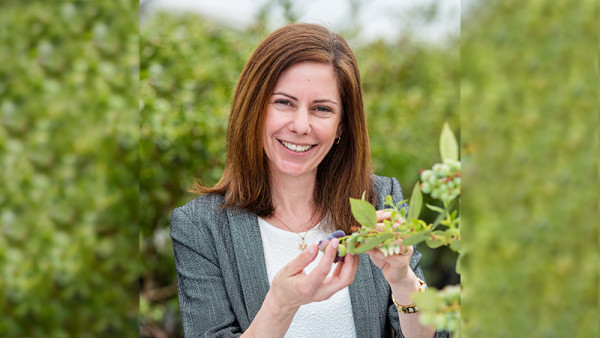 Alice Moore, general manager of BerryCo.