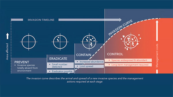 Figure 1 An invasion curve showing how control options change as the size of an invading pest population increases over time and across larger areas of a country. In reality, knowing when eradication is no longer feasible or when long-term management is the only real option left is not straight forward. Image sourced from Invasive Species Council, Australia. Invasion-Curve - Invasive Species Council