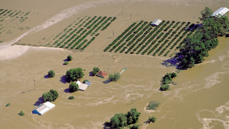 Flooded land