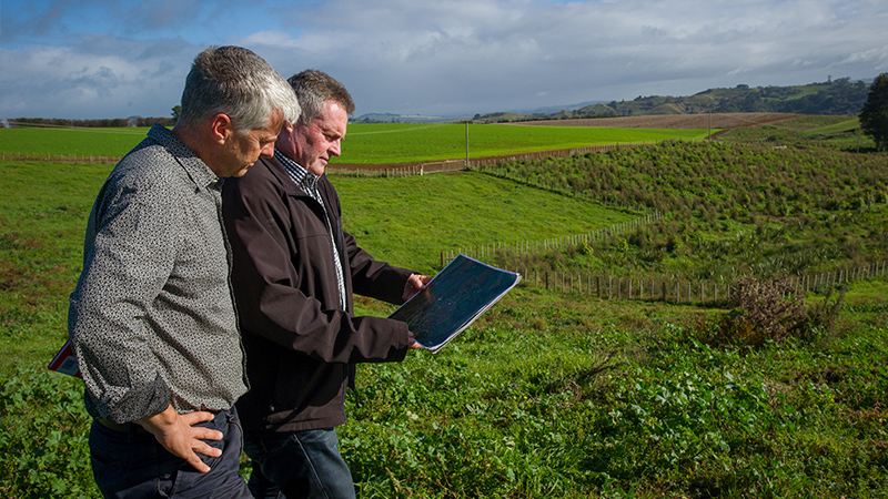 Hinemoa sediment control buffer