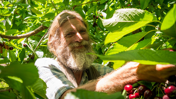 Returning picker Ivan Miller loves his job.