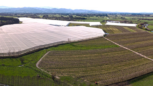 JR's Orchards from the air