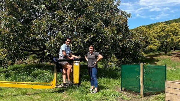 Avocado grower services representative at Apata Group, Melissa Bennett, chats with grower Jill Austin on a Hydralada.