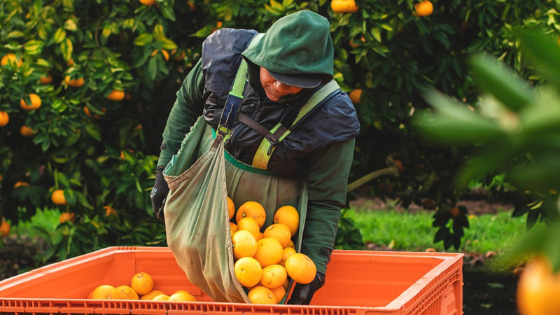 newsletter banner 2000px