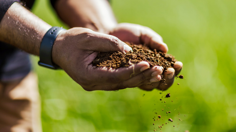 soil in hands