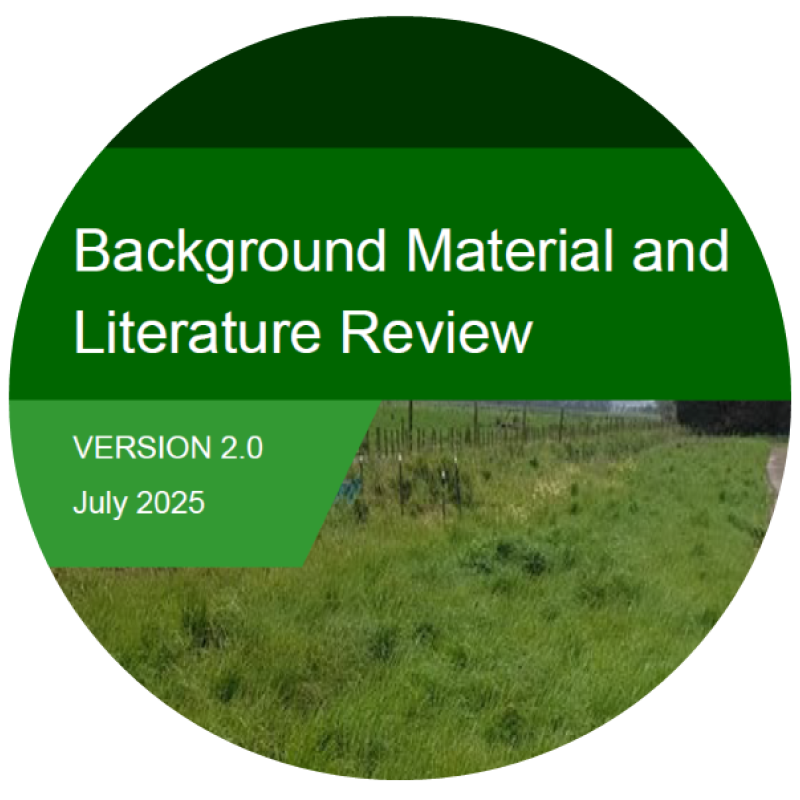 Buffer Strip background