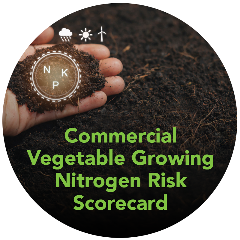 Commercial Vegetable Growing Nitrogen Risk Scorecard